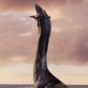 Meet your Posher, Jeremiah